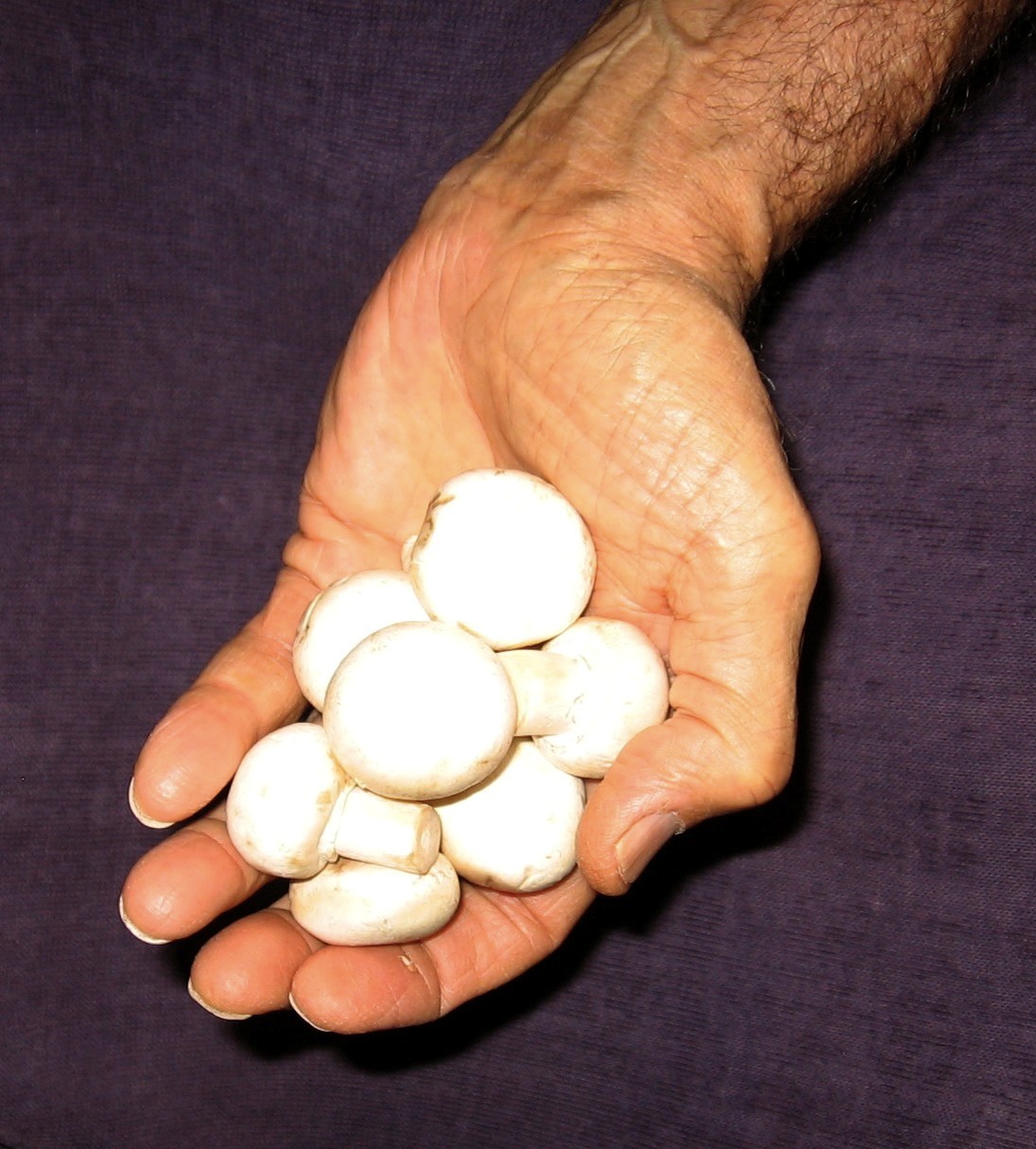 White Button Mushrooms